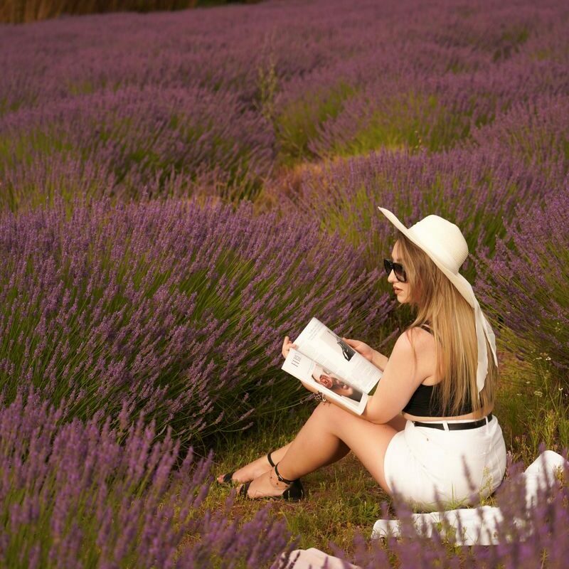 A woman in a hat reads a book amidst blooming lavender fields, capturing summer tranquility.