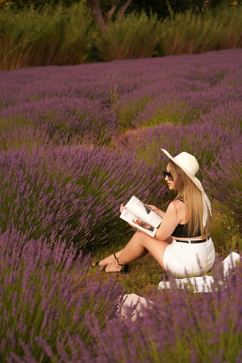 A woman in a hat reads a book amidst blooming lavender fields, capturing summer tranquility.